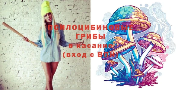 ECSTASY Алзамай