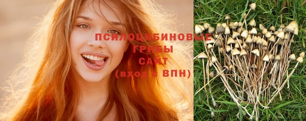 ECSTASY Алзамай