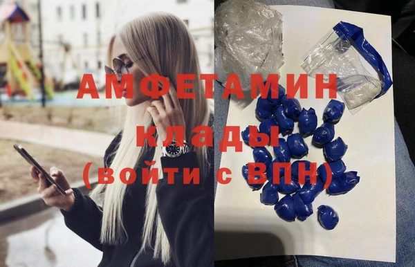 ECSTASY Алзамай