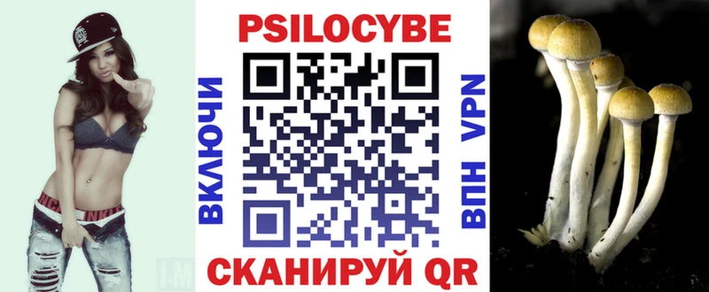 продажа наркотиков Мичуринск Псилоцибиновые грибы Magic Shrooms